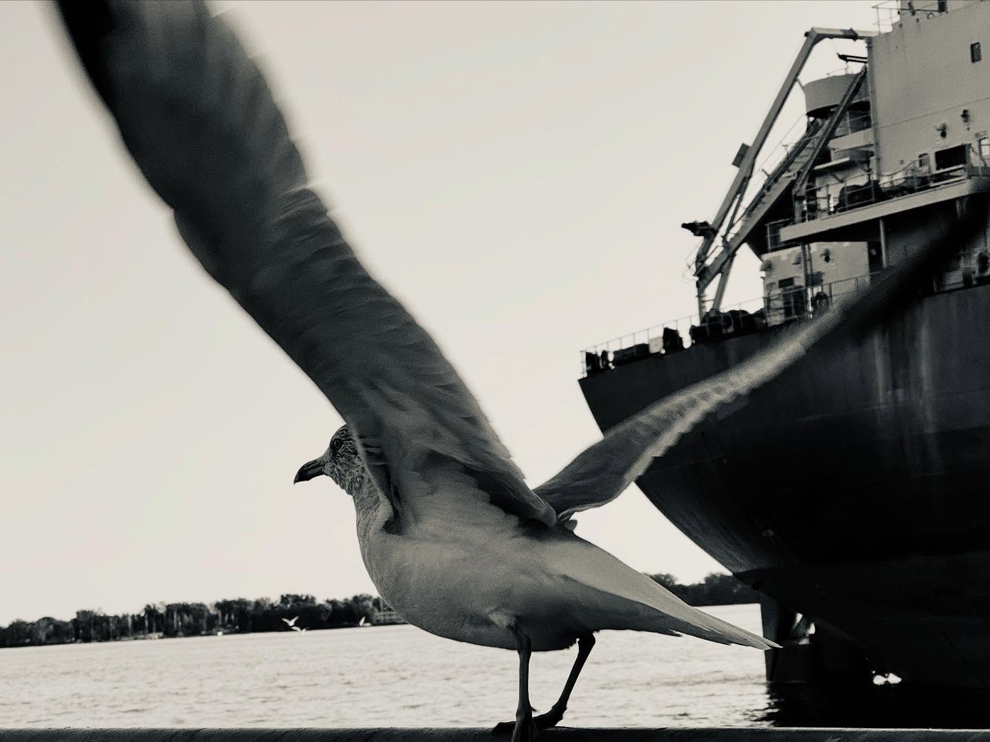 Photography by Nicolas Martinet