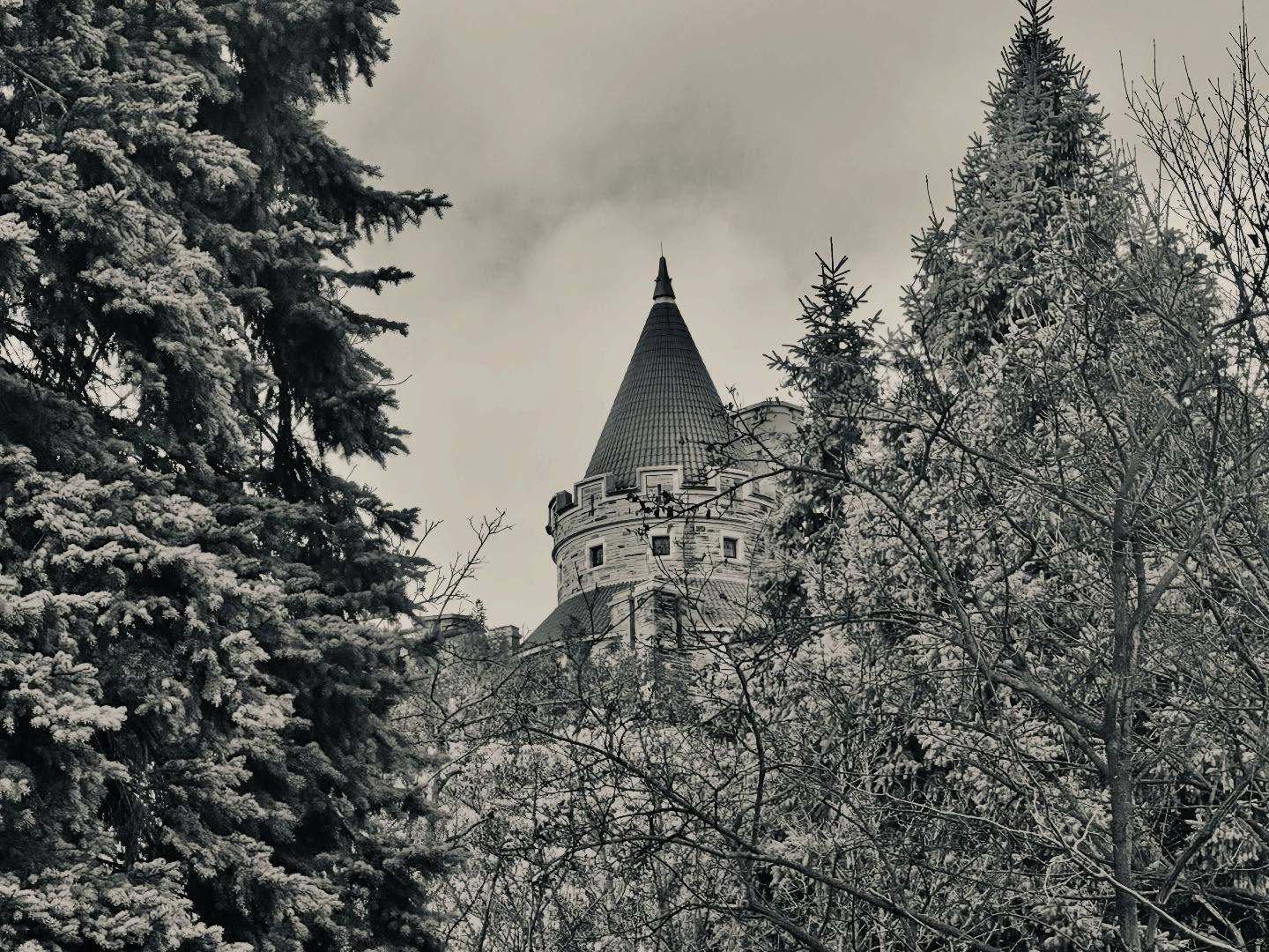 Photography by Nicolas Martinet