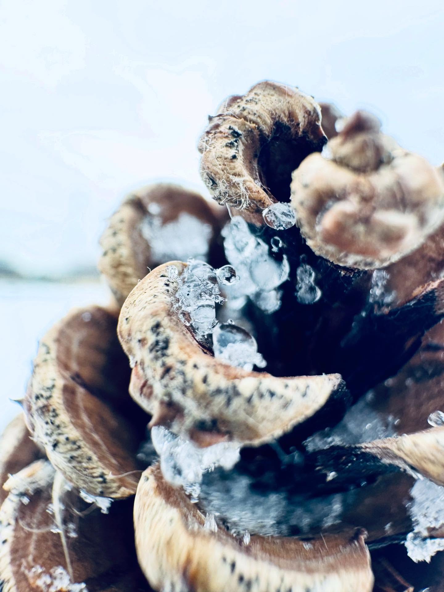 Photography by Nicolas Martinet