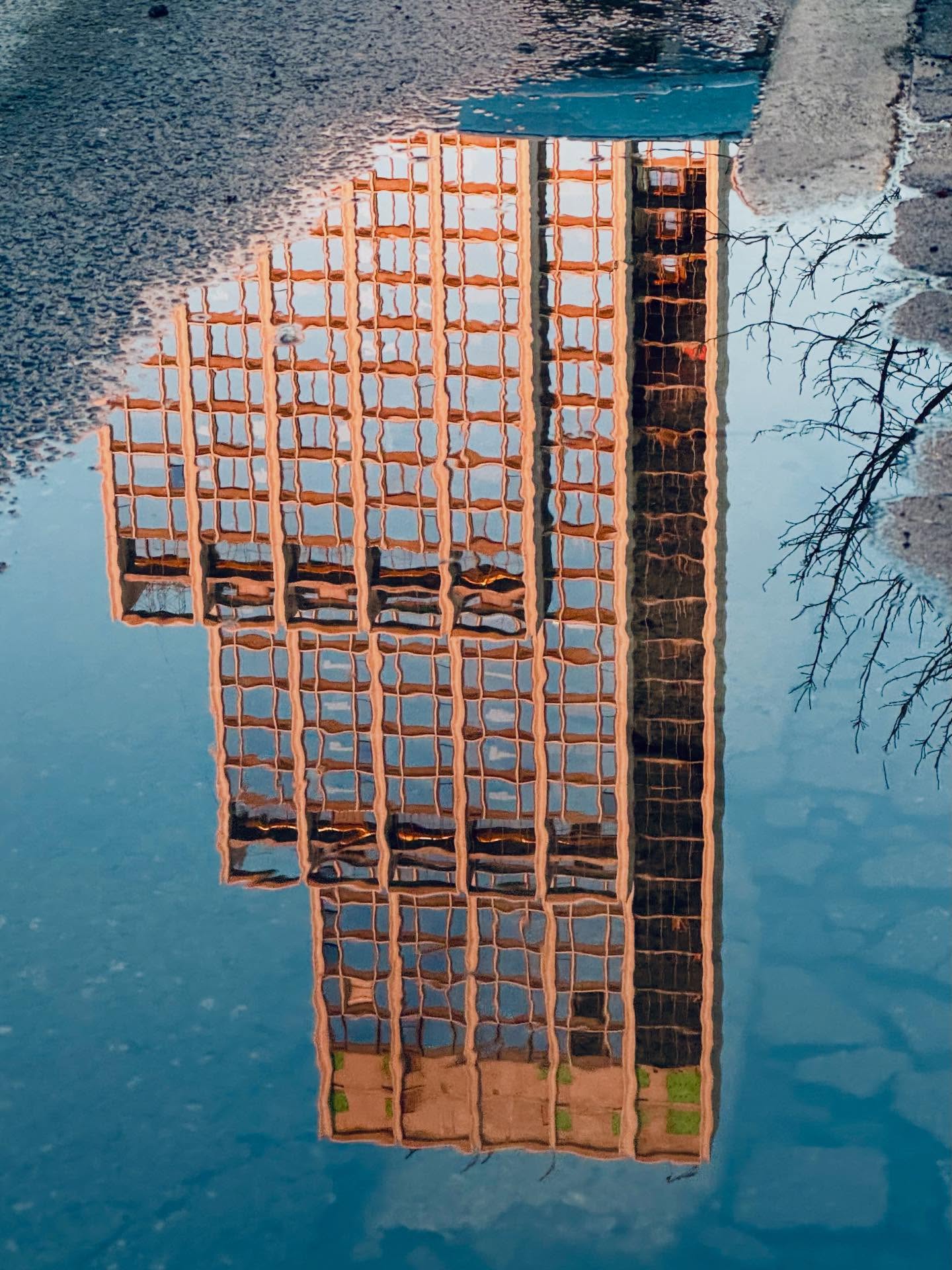 Photography by Nicolas Martinet