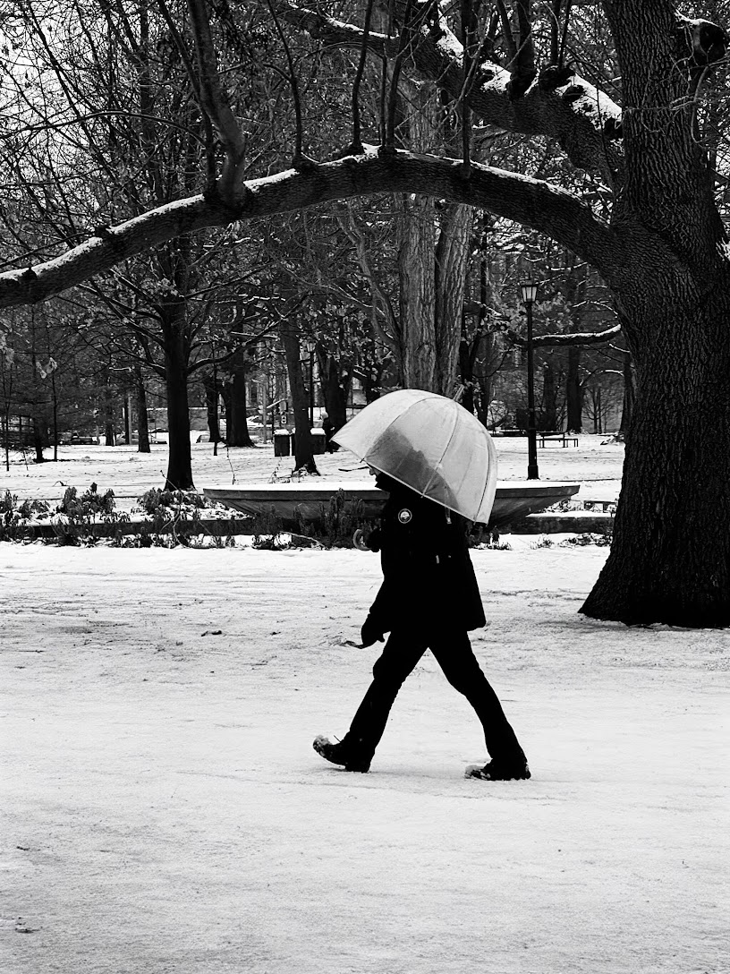 Photography by Nicolas Martinet