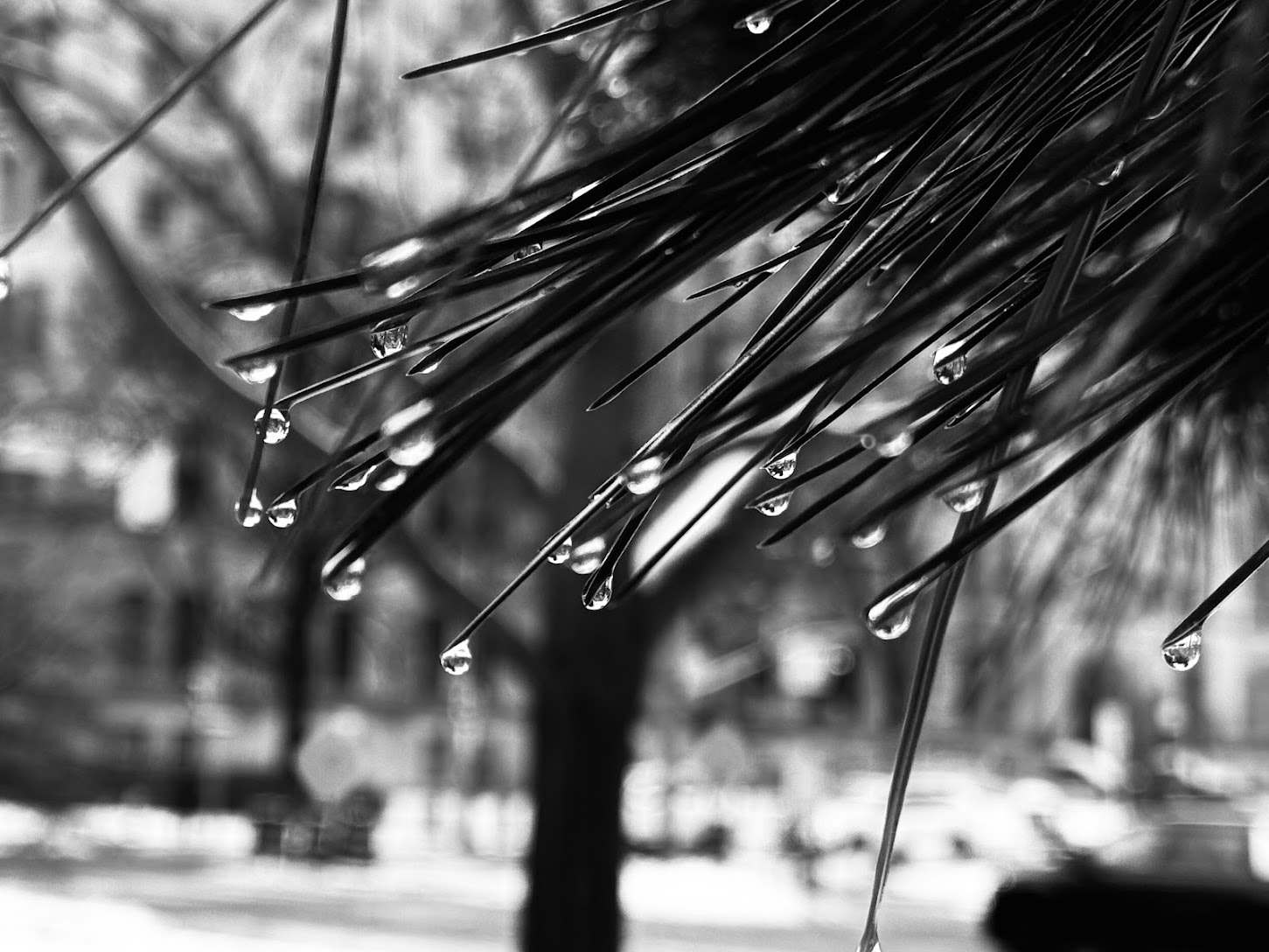 Photography by Nicolas Martinet