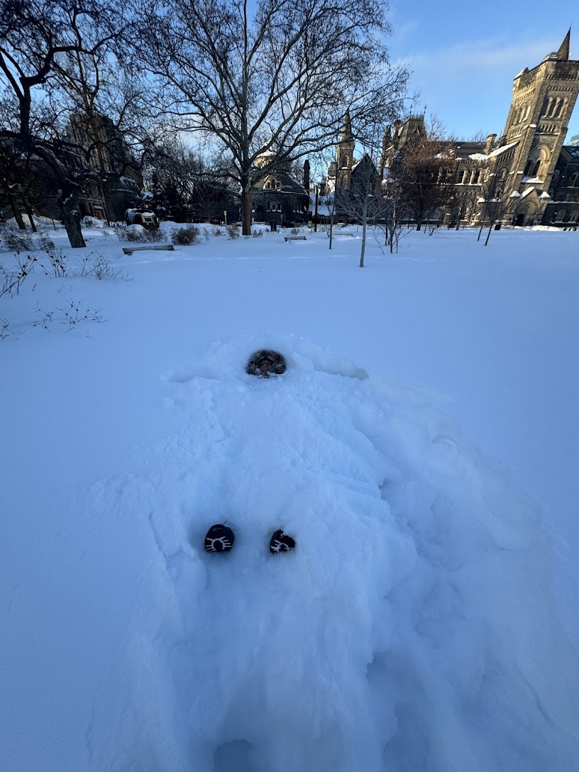 Photography by Nicolas Martinet